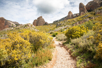 a mountain path on the way to Mallos de Riglos, comarca of Hoya de Huesca, province of Huesca, Aragon, Spain