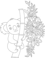 Koala and A Floral Vine Coloring Page. Printable Coloring Worksheet for Adults and Kids. Educational Resources for School and Preschool.