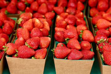ripe strawberries in pint size boxes