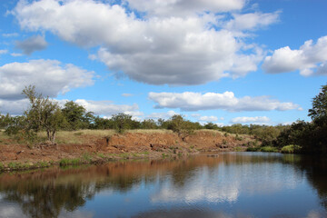 Fototapeta na wymiar Afrikanischer Busch - Krügerpark - Gudzani River / African Bush - Kruger Park - Gudzani River /