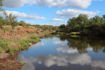 Afrikanischer Busch - Krügerpark - Gudzani River / African Bush - Kruger Park - Gudzani River /