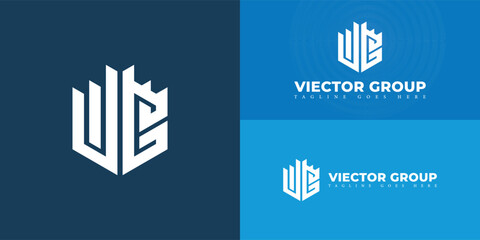 Abstract initial hexagon letter VG or GV logo in white color isolated on multiple background colors. The logo is suitable for private equity group company logo design inspiration templates.