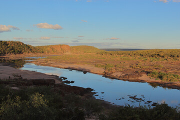 Afrikanischer Busch - Krügerpark - Olifants River / African Bush - Kruger Park - Olifants River /