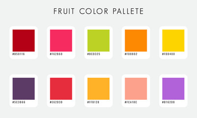 Vector Fruit Color Pallete Collection