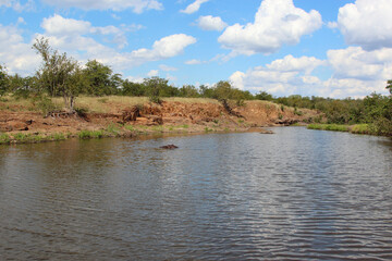 Afrikanischer Busch - Krügerpark - Gudzani River / African Bush - Kruger Park - Gudzani River /