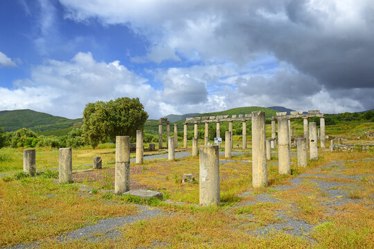 Messene Images – Browse 1,108 Stock Photos, Vectors, and