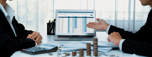 Corporate accountant use accounting software on laptop to calculate and maximize tax refunds and...