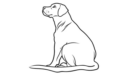 Obraz premium outline drawing, flower outline, animal outline, world map outline, heart outline, doodle, cartoon, cute, happy, mammal, children, baby, black, pretty, art, funny, design, book, pony, page, background