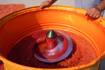 Wheat seed in seed coating machine, North China