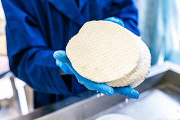 Cheese formation. Close-up of a man in gloves laying out cheese in plastic molds. Small-scale...
