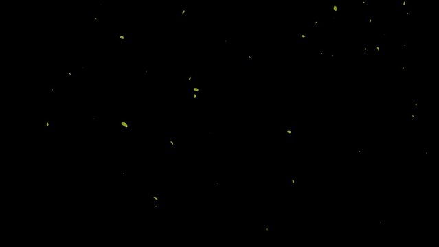 Spring green leaves falling alpha