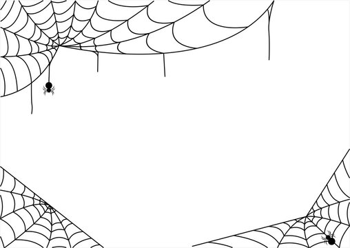 spider web halloween background, scary spider and cobweb isolated on white background