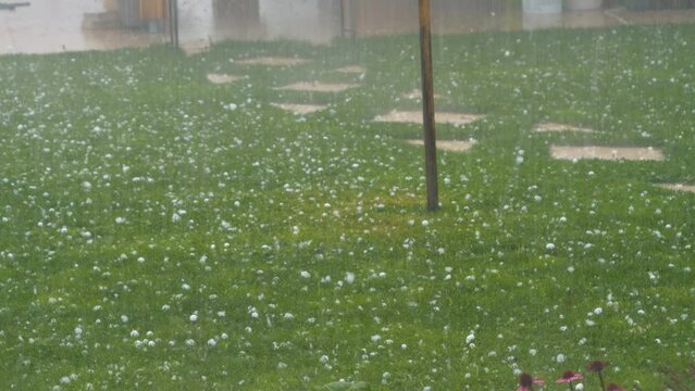 CLOSE UP: Severe summer hailstorm covers green lawn with numerous hailstones. Thunderstorm intensely blankets the ground with ice pellets, creating a dramatic weather scene in the backyard garden.