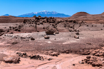 Otherworldly landscape of the desert