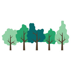 Forest Tree Illustration