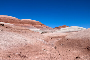 Otherworldly scenery at the Bentonite Hills in Utah.