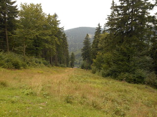 Sowie Mountains in Poland. Landscape.