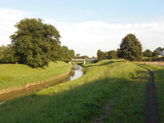 River landscape in summer