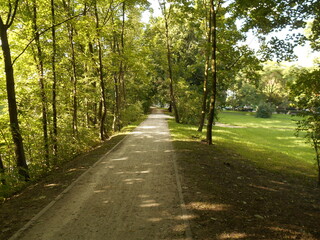 Alley in the city park, summer.