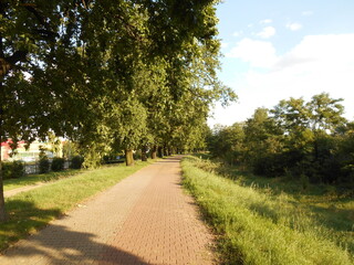 City landscape