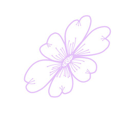 pink flower background monoline