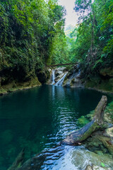 Naklejka premium 3 Caídas, Finca Sacmoc, Cobán, Guatemala