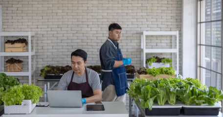 Vegetable Sellers Using Laptop for Inventory Management in Indoor Urban Market