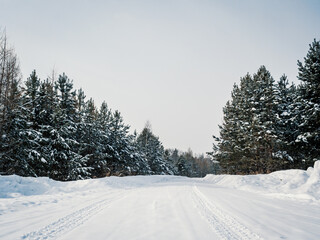 Obraz premium Snow-covered highway surrounded by wintery pine forest on cloudy day