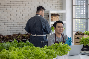 Vegetable Sellers Using Laptop for Inventory Management in Indoor Urban Market