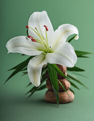 Close-up lily flower, art of ikebana, 