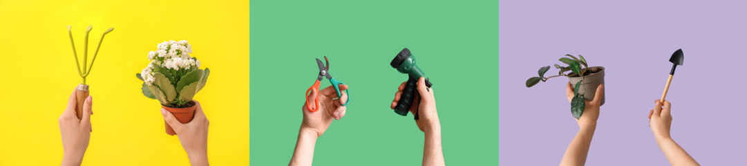Collection of hands holding gardening supplies and plants on color background