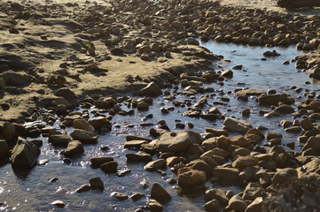 Full Frame Photo of Rocks in Sand with Water