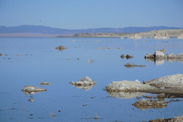 Mono Lake's Scenic Beauty on a Sunny Day