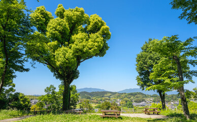 初夏の風景