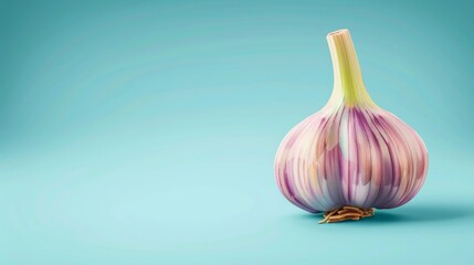 Garlic, a photorealistic illustration against pastel blue background with copy space for text or logo, beautifully illuminated by studio lighting