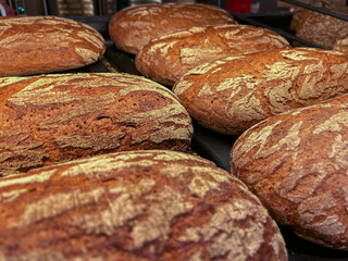 Freshly Baked Artisan Sourdough Bread Display