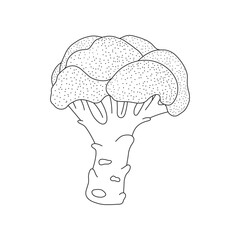 Hand drawn kids drawing cartoon Vector illustration brocolli icon Isolated on White