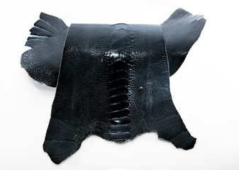 ostrich leather on white background