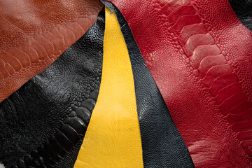 ostrich leather on white background