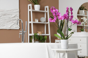 Orchid flower on table in stylish bathroom