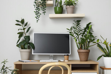 Blank computer monitor with green houseplants on table in light office