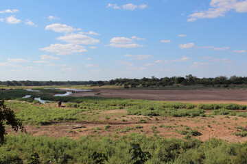Fototapeta premium Afrikanischer Busch - Krügerpark - Letaba River / African Bush - Kruger Park - Letaba River /