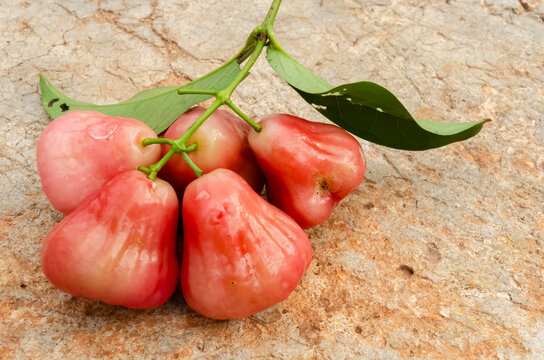 Bell Fruit and Leaves