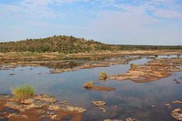 Afrikanischer Busch - Krügerpark - Olifants River / African Bush - Kruger Park - Olifants River /