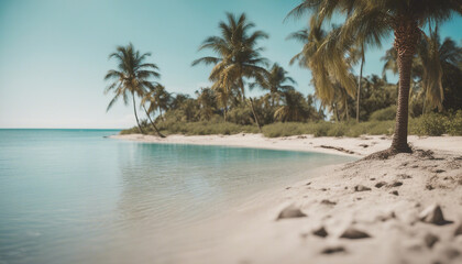 Fototapeta premium Deserted Beach with Turquoise Water, Palm Trees, and Clear Blue Sky