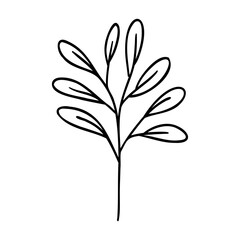 Drawing of Rounded Leaves
