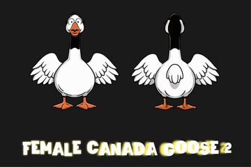 Vector Illustrated Female Canada Goose Cartoon Character Sheet Front/Back Angles