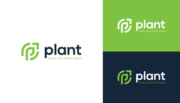 Initial Letter P Plant with Pointer Arrow Business Marketing For Business Brand Inspiration Logo Design
