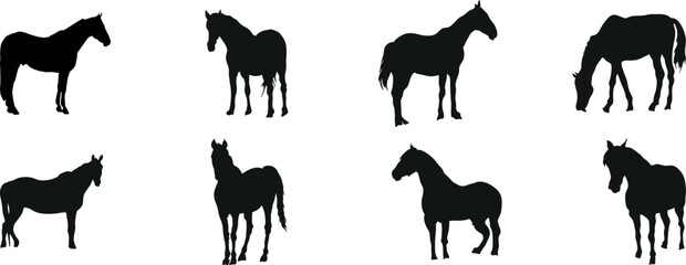 Horse silhouette set for animation. Black horses graphic element vector illustration