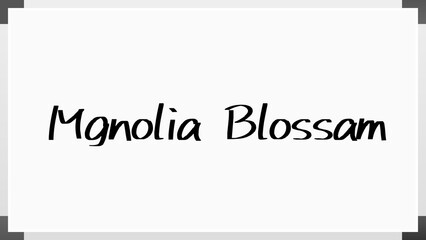 Mgnolia Blossam のホワイトボード風イラスト
